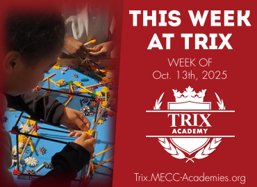  Trix Academy
